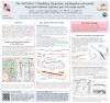 Image of SCEC poster