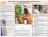 Image of SCEC poster