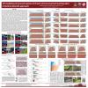 Image of SCEC poster