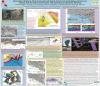 Image of SCEC poster