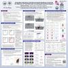 Image of SCEC poster