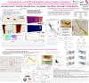 Image of SCEC poster