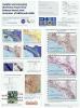 Image of SCEC poster